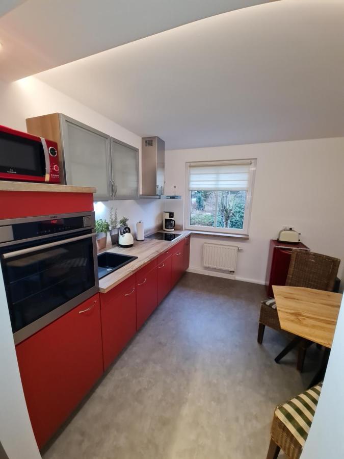 Ferienwohnung Haus Fernblick Kurort Bärenburg Exterior foto